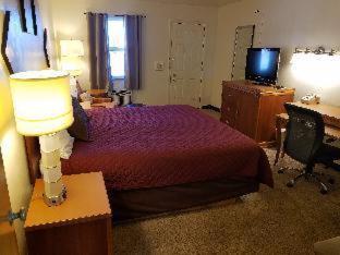 West Plains Motel Room photo